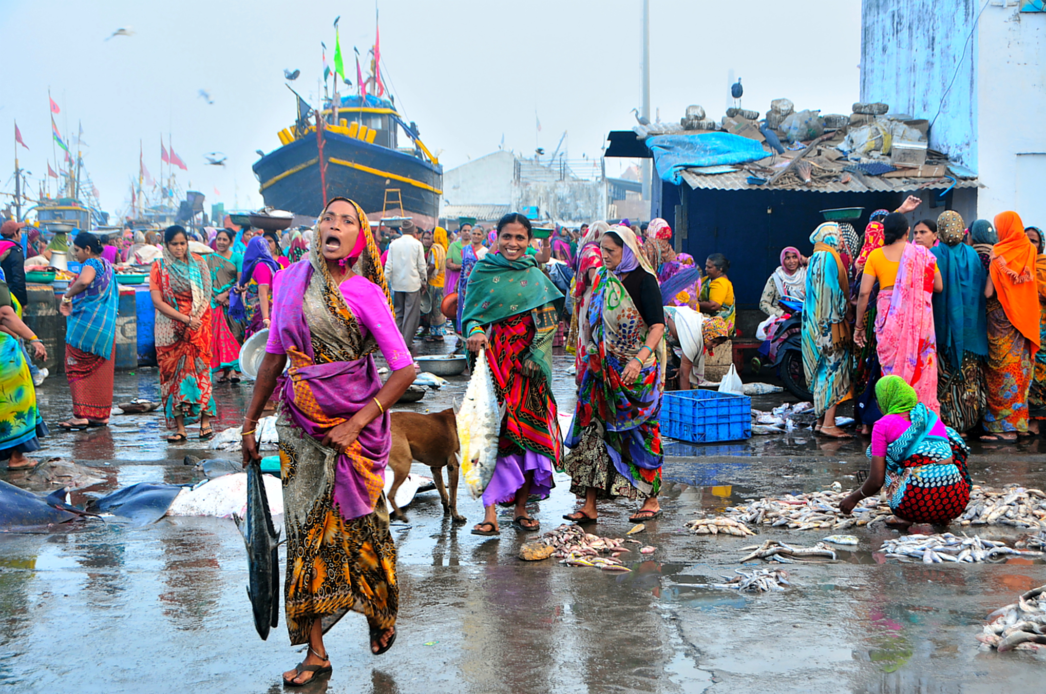 FISH MARKET: di matteo_maurizio_mauro