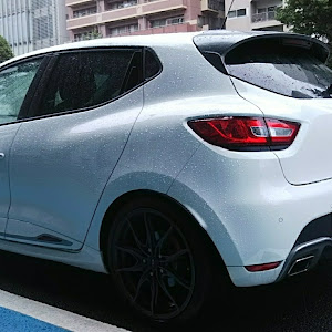 ルーテシア RM5M1