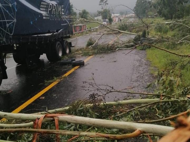 Traffic on the N3 near the Tweedie interchange, heading inland, was brought to a standstill on Thursday as a severe thunderstorm and high winds brought down trees.
