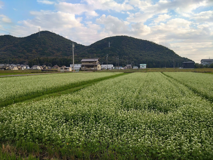 MPVのZENさんが投稿したカスタム事例の投稿画像14枚目