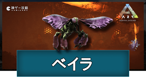 ARK_ベイラ