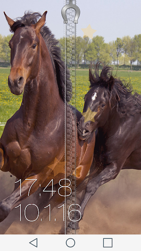 Horse Zipper Lock Screen