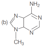 Chemical reactions of amines