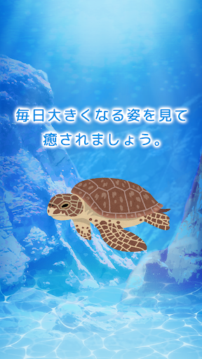 Updated ウミガメ育成ゲーム かわいい癒しのアプリ Mod App Download For Pc Android 22