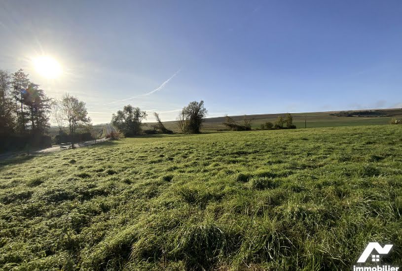  Vente Terrain à bâtir - 700m² à Poilly (51170) 