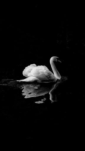 Black Wallpapers Super Amoled Dark Background 4k Apk Download