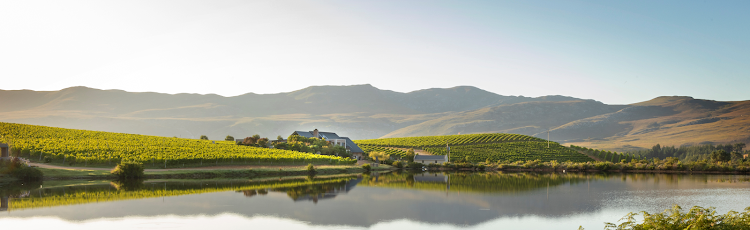 The Creation Wines estate in the Hemel en Aarde valley today.