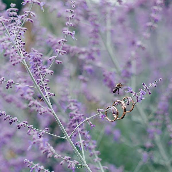 Fotografo di matrimoni Sasha Khomenko (khomenko). Foto del 16 luglio 2017