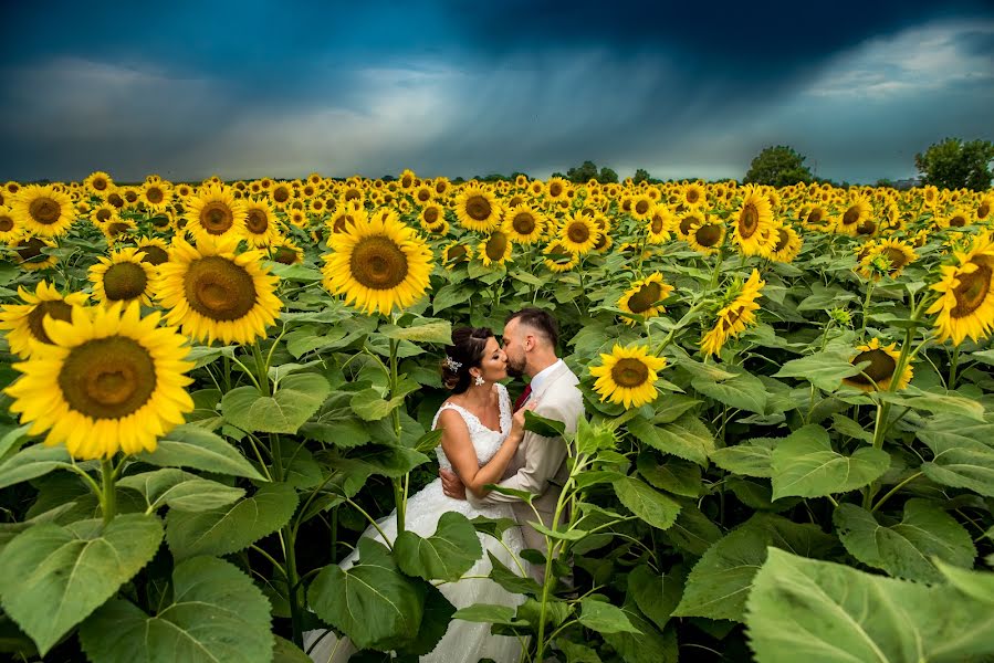 Fotograful de nuntă Vladimir Milojkovic (mvladimir). Fotografia din 25 iulie 2023