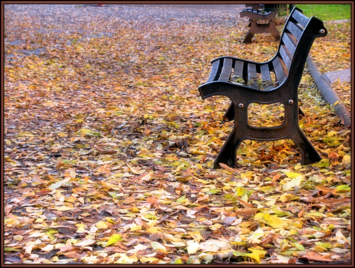 In attesa di un pò di calore umano... di Loris_la_Rana