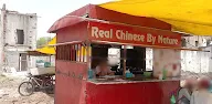 Real Chinese By Nature photo 1