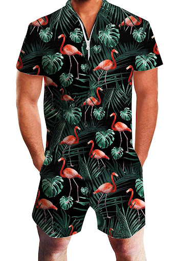 Black flamingo