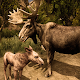 Download Ultimate Moose Simulator For PC Windows and Mac 0.1