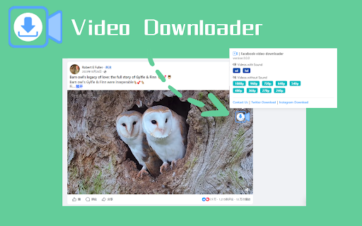 Facebook video downloader