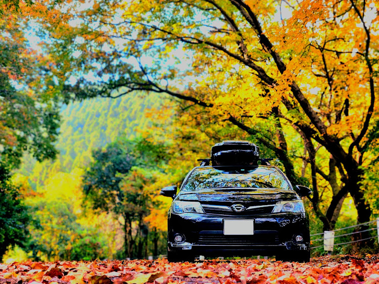カローラフィールダーの紅葉・ドライブ・朝日峠展望台・フルーツラインに関するカスタム事例の投稿画像2枚目