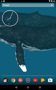 How to mod Humpback Whale Live Wapplaper patch 1.0 apk for android