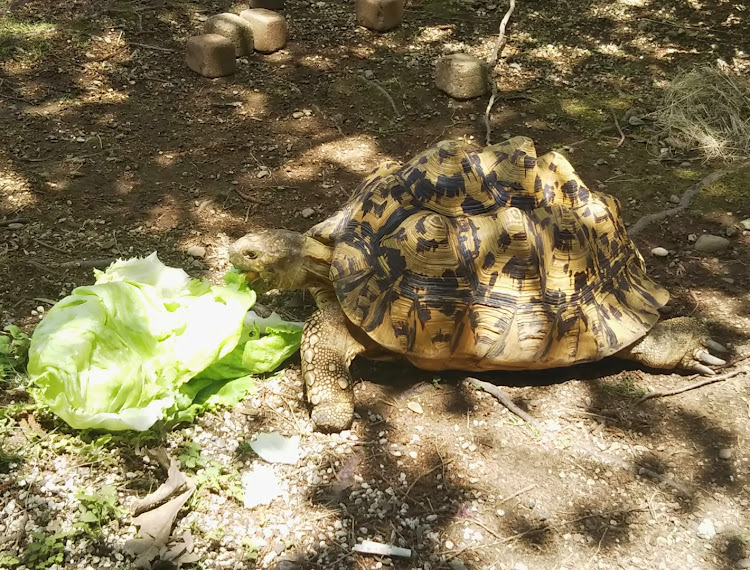 の投稿画像5枚目