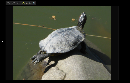 G+ Lightbox - Hide Maximize Icon Preview image 0