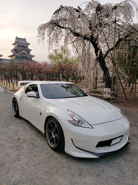 フェアレディZのドライブ・フェアレディZ・桜と愛車に関するカスタム事例の投稿画像1枚目