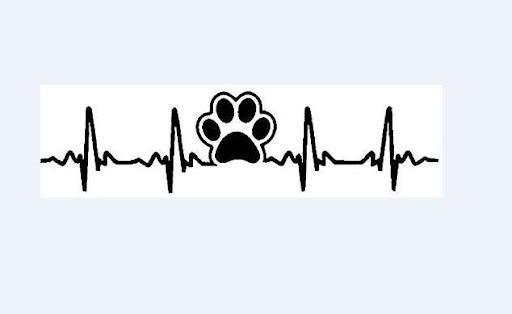 Title 1, Puppy Footprints ECG Bumper Stickers. Show your...