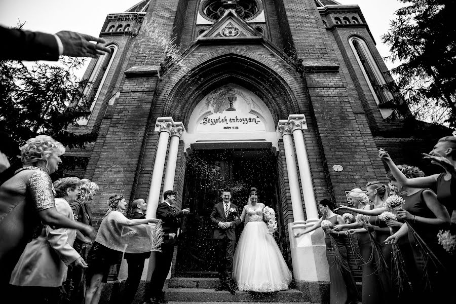 Fotografo di matrimoni Sabina Mladin (sabina). Foto del 25 febbraio 2016