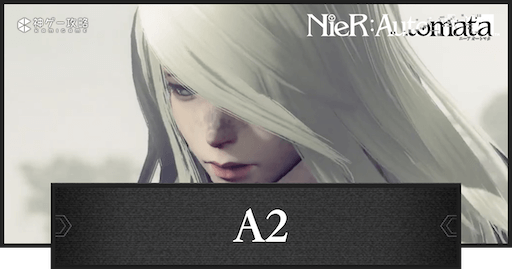 A2