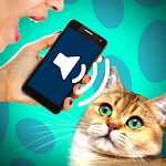 Cover Image of Unduh Cat translator audio joke 1.3 APK