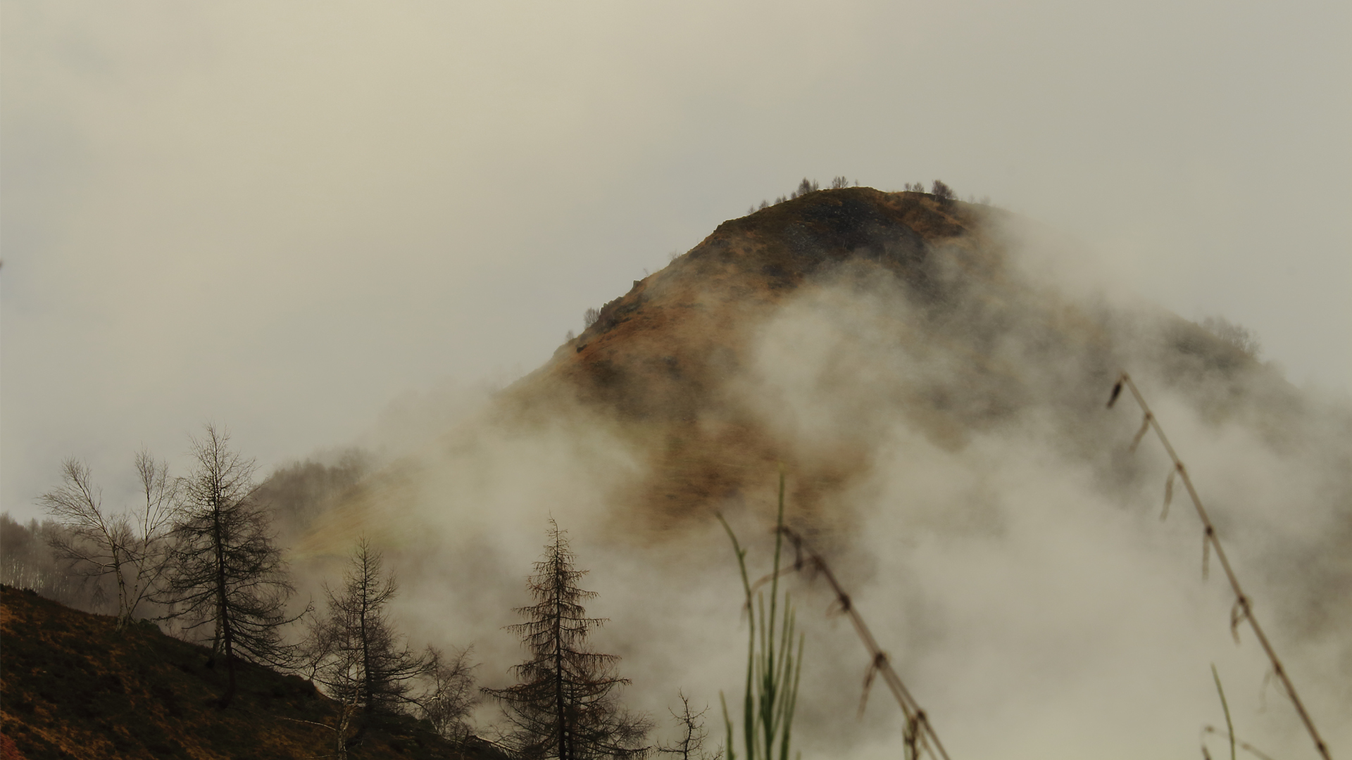 The hill behind the fog di Stefano Trabucco