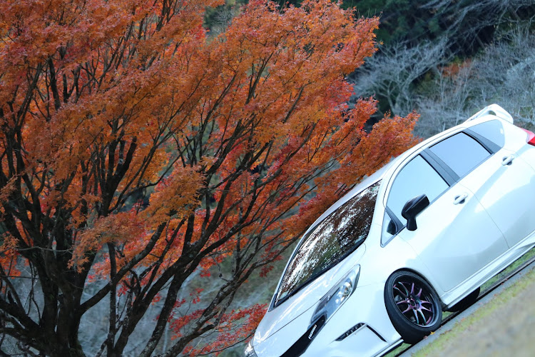 ノートの人吉・12月もよろしくお願いします・紅葉に関するカスタム事例の投稿画像5枚目