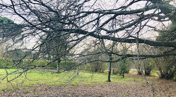 terrain à Le Taillan-Médoc (33)