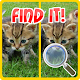 Download Find The Differences Cats For PC Windows and Mac 2.03