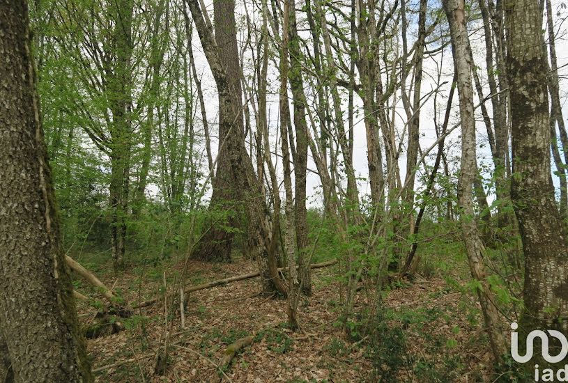  Vente Terrain à bâtir - à La Chapelle-Moulière (86210) 