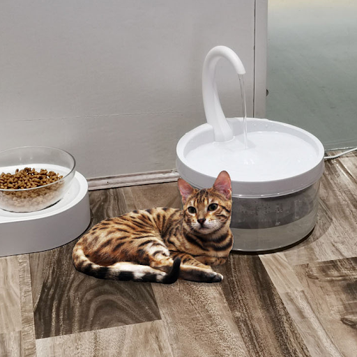 Title 3, Automatic circulation drinking fountain pet wat...