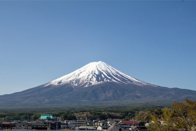 の投稿画像2枚目