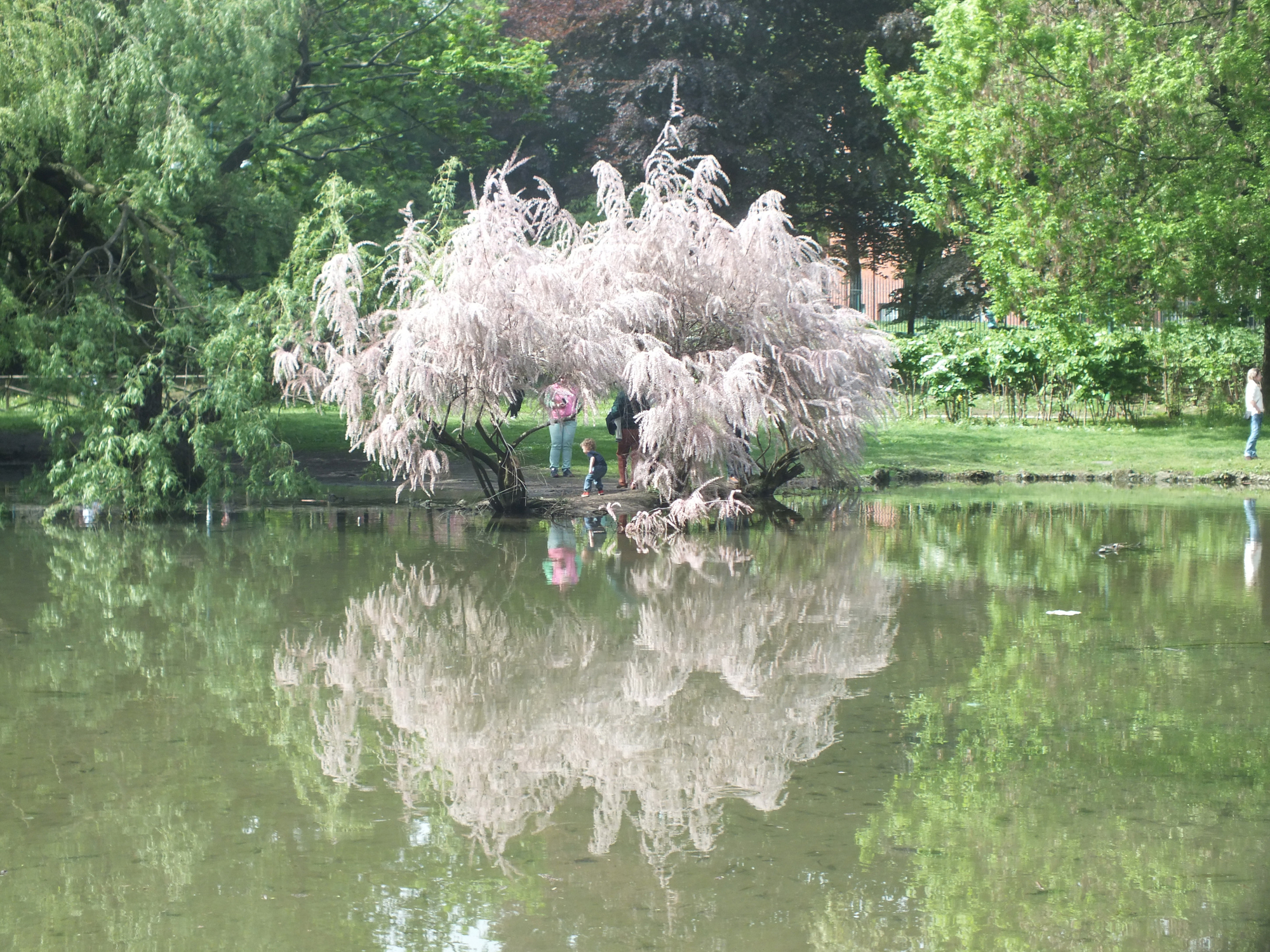 In un parco di città di Giò Volpi