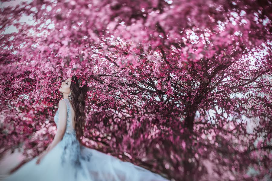 Svatební fotograf Aušra Rekašiūtė (aastudio). Fotografie z 27.října 2018