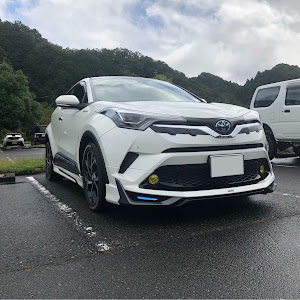 C-HR ZYX10