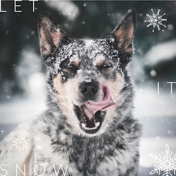 Let It Snow Dog - Instagram Post template