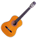 Guitare Accordeur icon