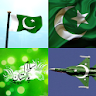 Pakistan Flag Wallpaper: Flags icon