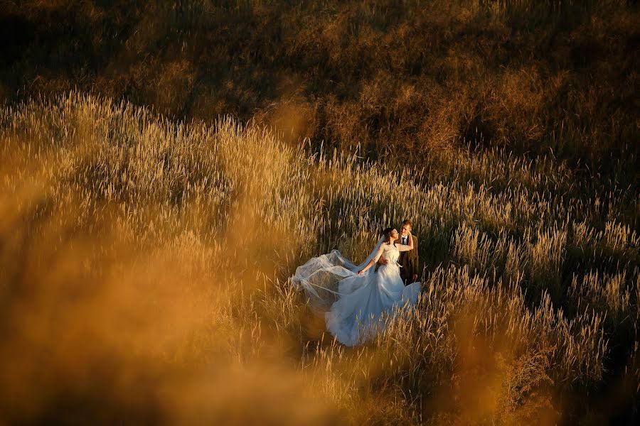 Wedding photographer Tatyana Kozhukhar (tmkozhukhar). Photo of 9 June 2016