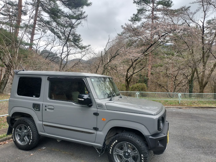 ジムニーのサクラと愛車・奥多摩湖・桜シーズン開幕・ラーメンだいすき・150投稿目✨に関するカスタム事例の投稿画像1枚目