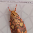 Moth