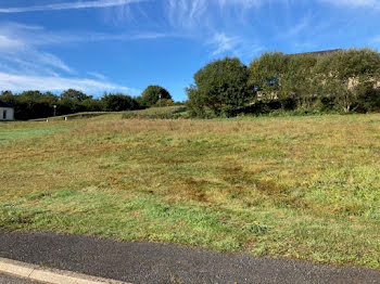 terrain à Uzerche (19)