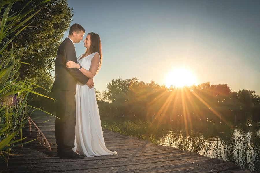 Wedding photographer Hajdú László (fotohajdu). Photo of 1 September 2016