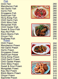 Chineese Quisine Restaurant menu 3