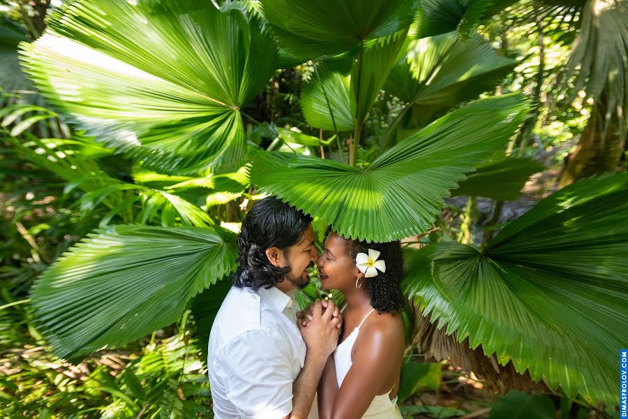 Photographe de mariage Dimas Frolov (dimasfrolov). Photo du 2 février 2019