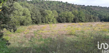 terrain à Vivès (66)