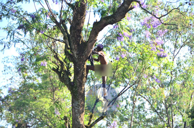 A man climbs a tree outside Nakuru's Central police station on March 17, 2023.