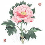 Cover Image of Baixar 百花图谱—花草植物图谱·实用的种植护技巧 1.0 APK